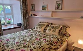 Traditional Cottage Near The Wild Atlantic Way
